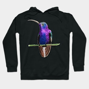 Violet Saberwing Watercolor and Ink Hoodie